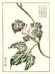 photo20_small.jpg