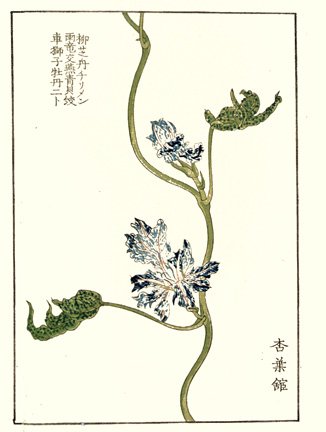photo22.jpg