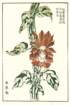 photo23_small.jpg
