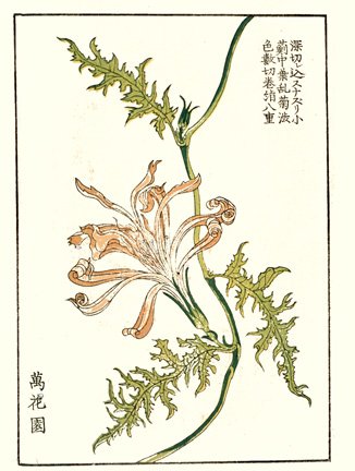 photo24.jpg