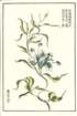 photo25_small.jpg