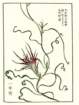 photo26_small.jpg