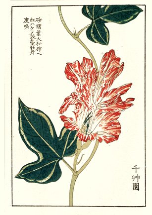 photo27.jpg