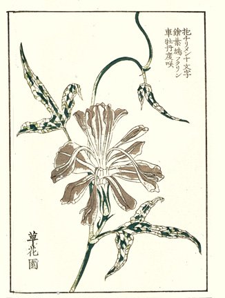 photo28.jpg