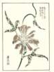photo28_small.jpg