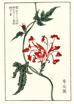 photo29.jpg