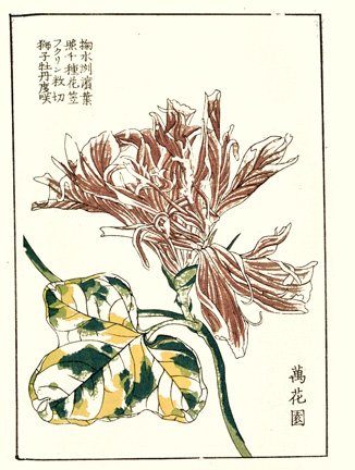 photo32.jpg