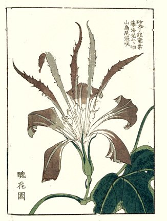photo34.jpg