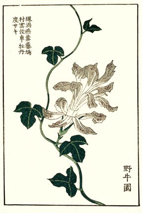 photo7.jpg
