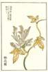 photo8_small.jpg