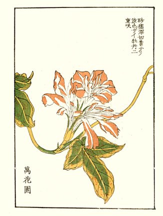 photo9.jpg