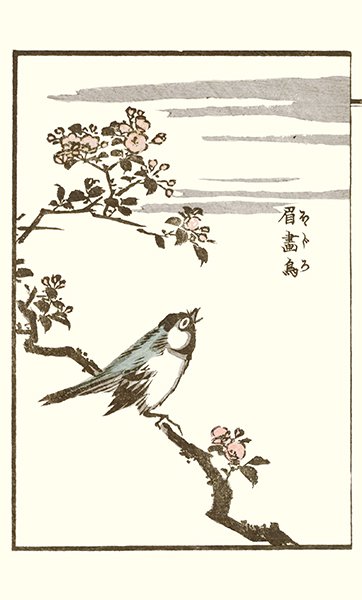 photo4.jpg