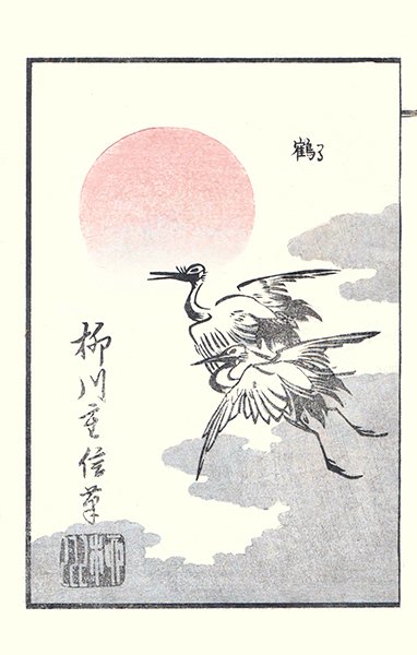 photo41.jpg