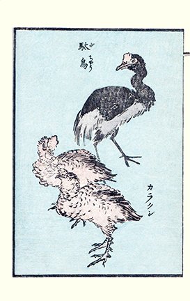 photo14.jpg