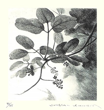 photo3.jpg