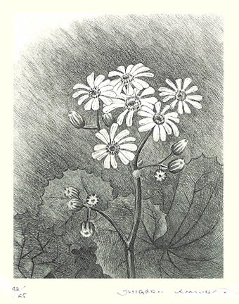 photo8.jpg