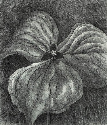 photo11.jpg