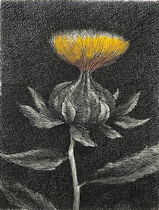photo9.jpg