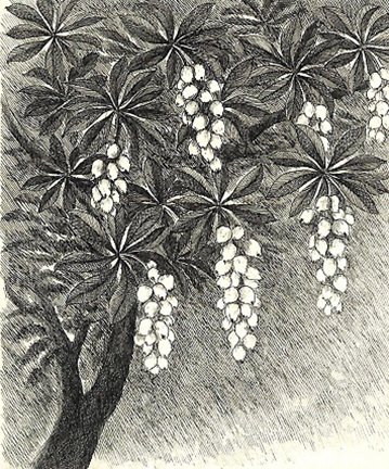 photo8.jpg