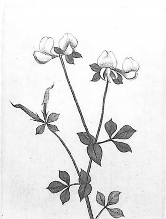 photo10.jpg