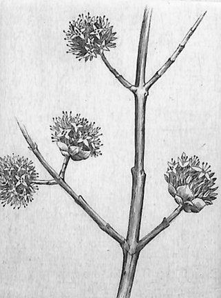 photo5.jpg