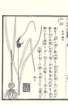 photo100_small.jpg