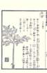 photo102_small.jpg