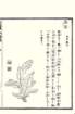 photo106_small.jpg