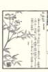 photo10_small.jpg
