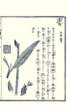 photo114_small.jpg