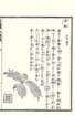 photo118_small.jpg