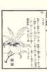 photo119_small.jpg
