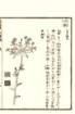 photo11_small.jpg