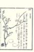 photo120_small.jpg