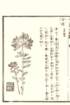 photo12_small.jpg