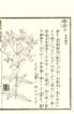 photo13_small.jpg