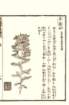 photo15_small.jpg
