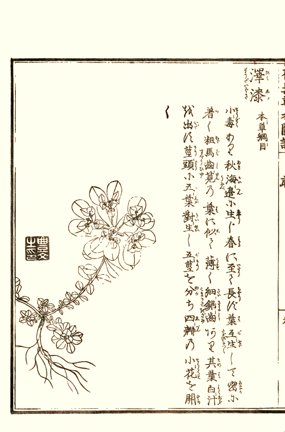 photo16.jpg