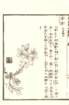photo16_small.jpg