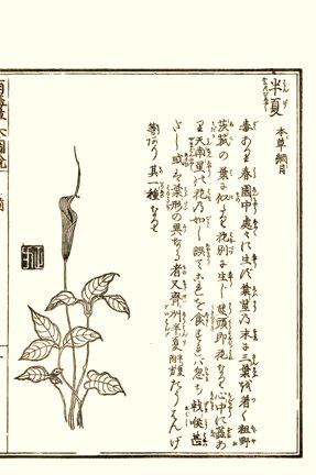 photo17.jpg