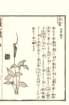 photo17_small.jpg