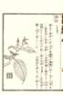 photo18_small.jpg