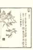 photo19_small.jpg