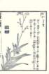 photo21_small.jpg
