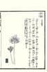 photo23_small.jpg