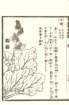 photo24_small.jpg