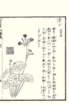 photo25_small.jpg
