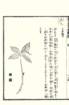 photo26_small.jpg