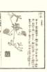 photo27_small.jpg