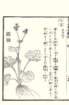photo28_small.jpg